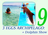 3 Eggs Archipelago and Dolphin Show