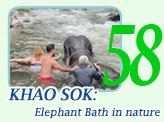 Khao Sok: Elephant Bath in nature