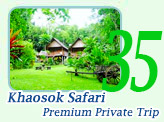 Khaosok Safari Premium Private Trip