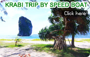 Krabi Trip by Speed Boat Krabi Trip by Speed Boat