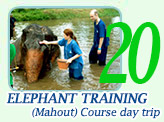 Elephant training (Mahout) Course day trip