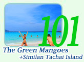 The Green Mangoes and Similan Tachai Island