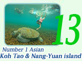 Number 1: Koh Tao and Nang-Yuan island