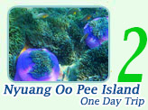 NyuangOoPee Island One Day Trip