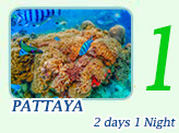 Bangkok to Pattaya 2days1Night