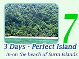 3 Days - Perfect Island