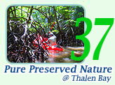 Pure Preserved Nature Thalen Bay