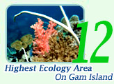 2 Days 1 Night to Highest Ecology Area-On Gam Island