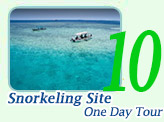 One Day Tour - World Top Ten Snorkeling Site