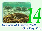One Day: Heaven of Friwen Wall