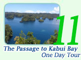 One Day Tour - The passage to Kabui Bay