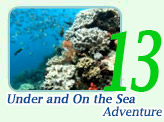 Rajaampat-Under and On the Sea Adventure