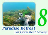 Paradise Retreat 4 Days 3 Nights