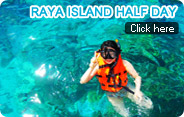 Raya Island Half Day Trip