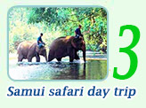 Samui safari day trip