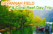 Savannah Field and Coral Reef Day Trip