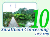 One Day : Suratthani Concerning