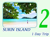 Surin Island Day Trip