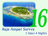 Raja Ampat Survey