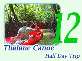 Talane Canoe with lunch Half Day
