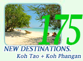 Thailand Bay: New Destinations. Koh Tao Pha-Ngan