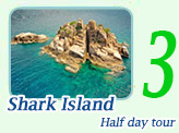 Half Day Shark Island: Snorkeling and Kayaking