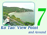 Ko Tao: View Point and Around