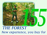 The Forest, New experience, you buy for