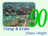 Trang and Krabi 2 Days 1 Night