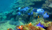 No story Place Center of Mergui Archipelago