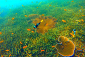 No story Place Center of Mergui Archipelago