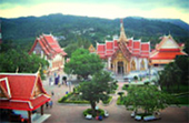 Elephant Bathing and City Tour Phuket