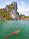 Hat Chao Mai National Park