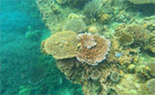 Mu Koh Surin National Park