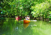 Khao Nha Yak and Little Savanna