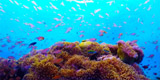 Nyaung Oo Phee Island
