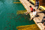 Over Night On The Lake by JC Tour