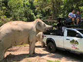 Patong Half Day Eco Adventure