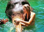 Patong Half Day Eco Adventure