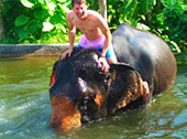 Patong Half Day Eco Adventure