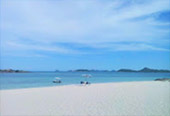 4 Days 3 Nights: Pattaya + Two Islands