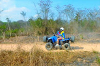 Adventure: Buggy or ATV Half Day Tour from Pattaya