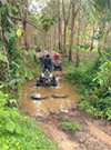 Adventure: Buggy or ATV Half Day Tour from Pattaya