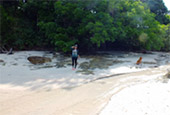 Folk Island - Koh Payam