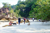 Folk Island - Koh Payam