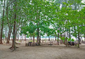 Folk Island - Koh Payam