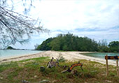 Folk Island - Koh Payam