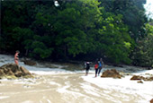 Payam Island with Seashore Province