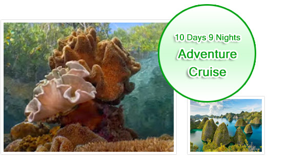 Adventure Cruise. 10 Days 9 Nights