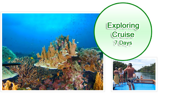 7 Days: Exploring Cruise